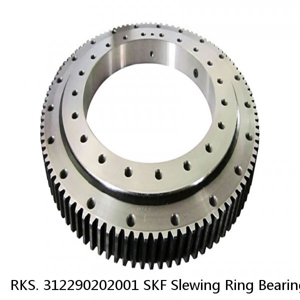 RKS. 312290202001 SKF Slewing Ring Bearings