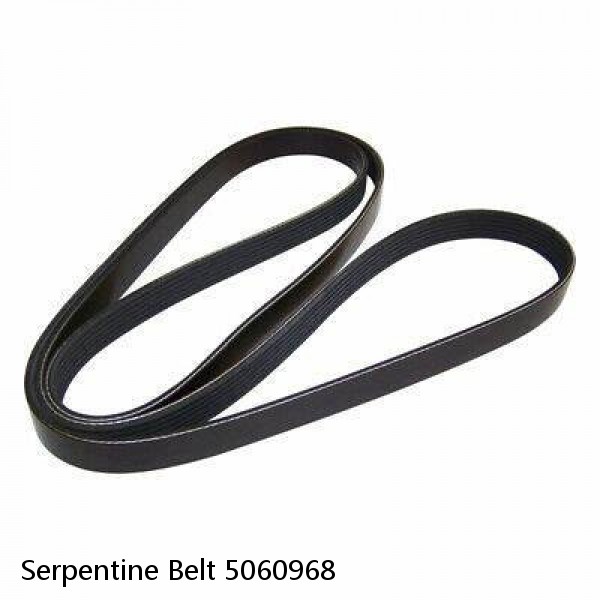 Serpentine Belt 5060968