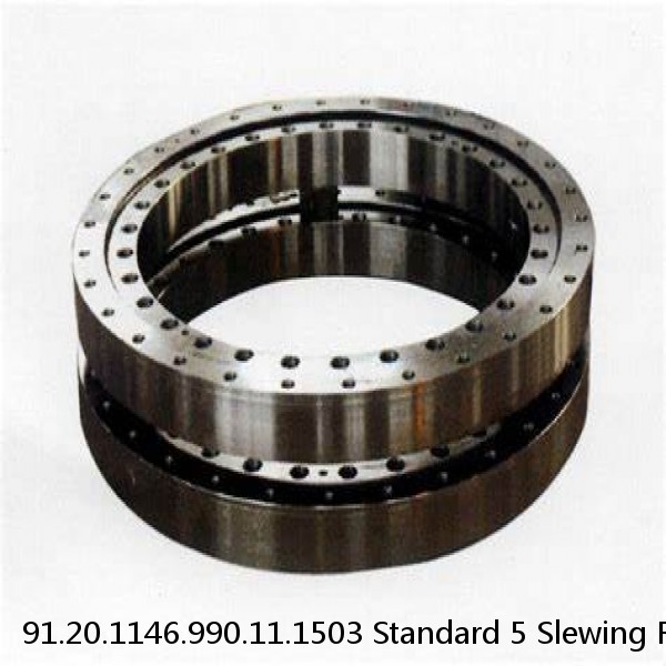 91.20.1146.990.11.1503 Standard 5 Slewing Ring Bearings #1 small image