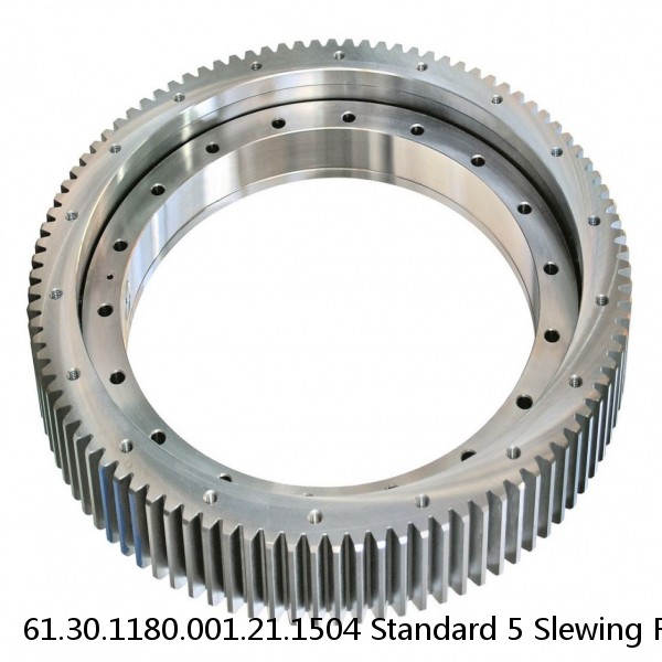 61.30.1180.001.21.1504 Standard 5 Slewing Ring Bearings #1 small image