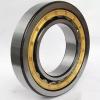 3.74 Inch | 95 Millimeter x 7.874 Inch | 200 Millimeter x 1.772 Inch | 45 Millimeter  NACHI NU319MY C3  Cylindrical Roller Bearings #1 small image