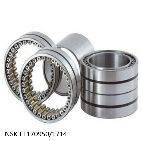 EE170950/1714 NSK CYLINDRICAL ROLLER BEARING #1 small image