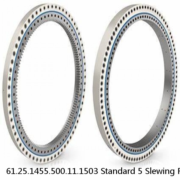 61.25.1455.500.11.1503 Standard 5 Slewing Ring Bearings #1 small image