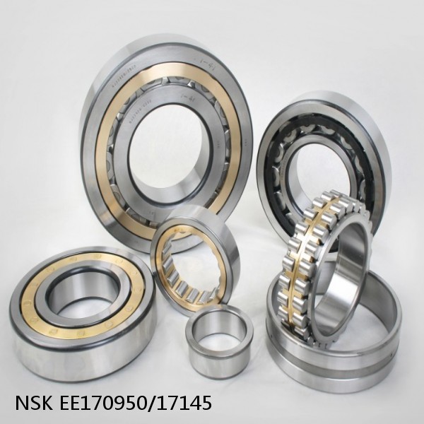 EE170950/17145 NSK CYLINDRICAL ROLLER BEARING #1 small image