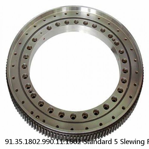 91.35.1802.990.11.1502 Standard 5 Slewing Ring Bearings #1 image