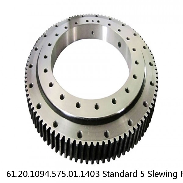 61.20.1094.575.01.1403 Standard 5 Slewing Ring Bearings #1 image