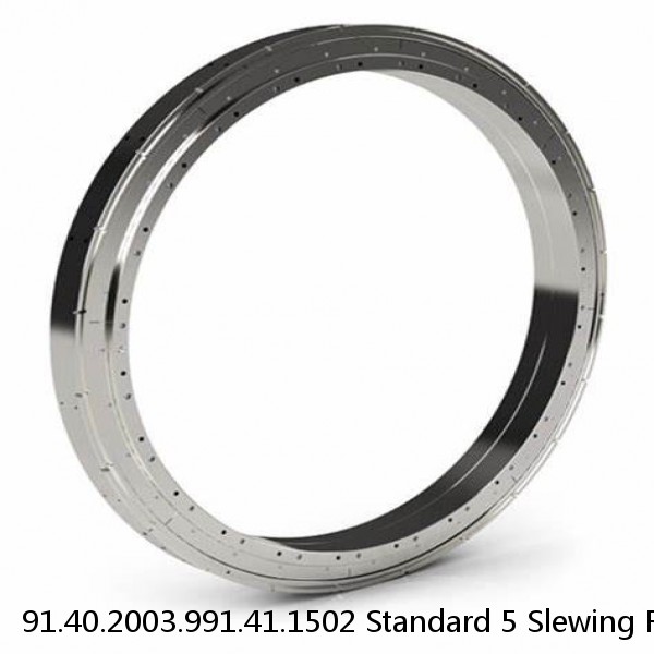 91.40.2003.991.41.1502 Standard 5 Slewing Ring Bearings #1 image