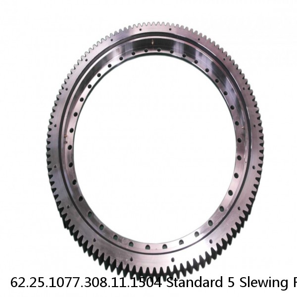 62.25.1077.308.11.1504 Standard 5 Slewing Ring Bearings #1 image