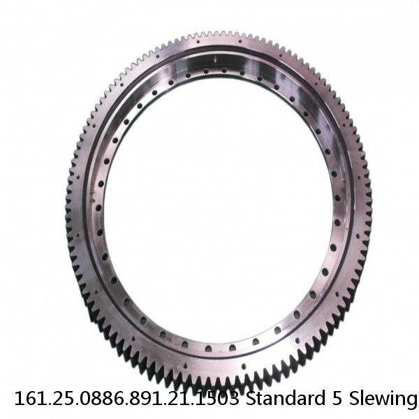 161.25.0886.891.21.1503 Standard 5 Slewing Ring Bearings #1 image