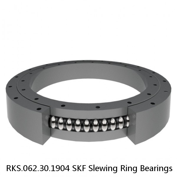 RKS.062.30.1904 SKF Slewing Ring Bearings #1 image