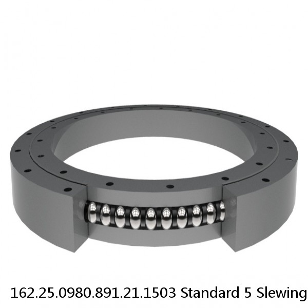 162.25.0980.891.21.1503 Standard 5 Slewing Ring Bearings #1 image