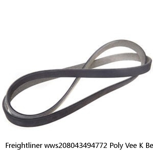 Freightliner wws208043494772 Poly Vee K Belt 8 R 7 #1 image